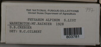 Image Associated With the Occurence